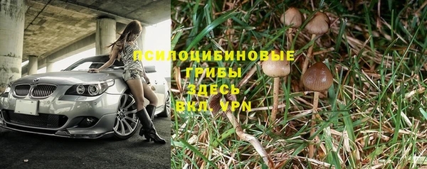 прущая мука Лагань