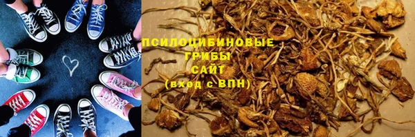 метадон Ладушкин