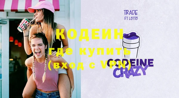 гашик Горняк