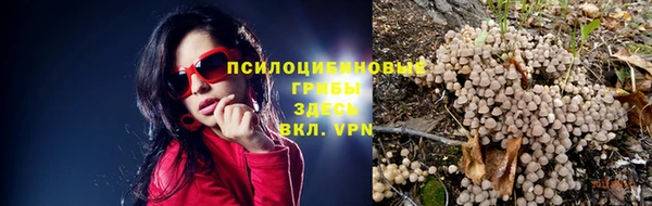 соль ск Куйбышев