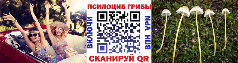 MEGA ТОР  Певек  Галлюциногенные грибы Cubensis  магазин   