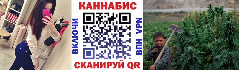 кракен как зайти  Певек  Шишки марихуана сатива 